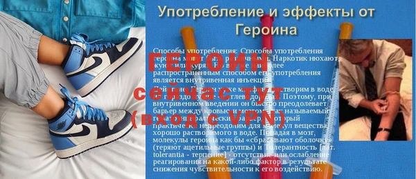 сатива Баксан