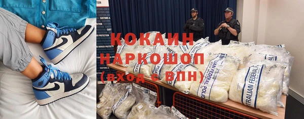 сатива Баксан