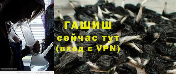 гидра Арсеньев