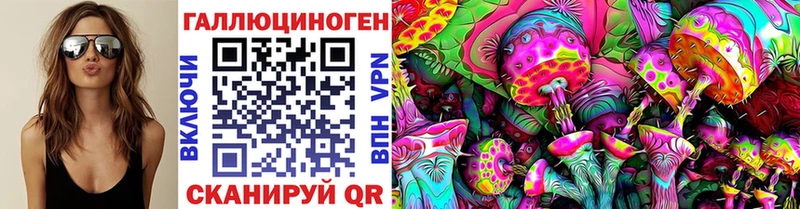 магазин продажи наркотиков  Минусинск  Галлюциногенные грибы Psilocybine cubensis 